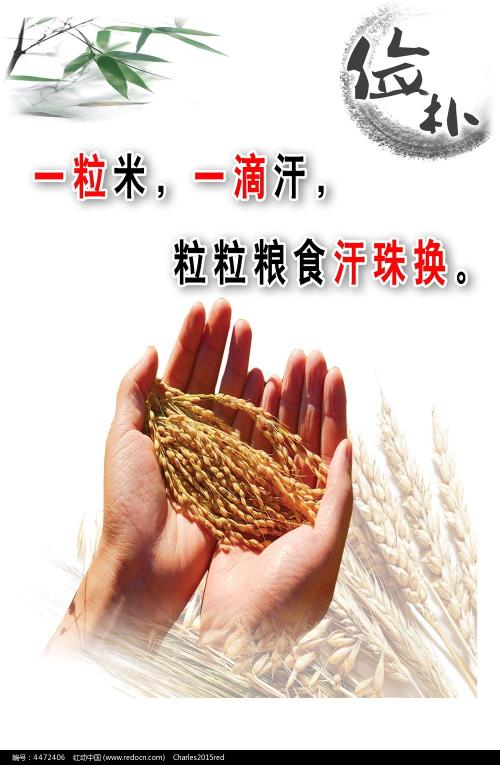 哪里能买到注册Kraken的日本KYC认证资料